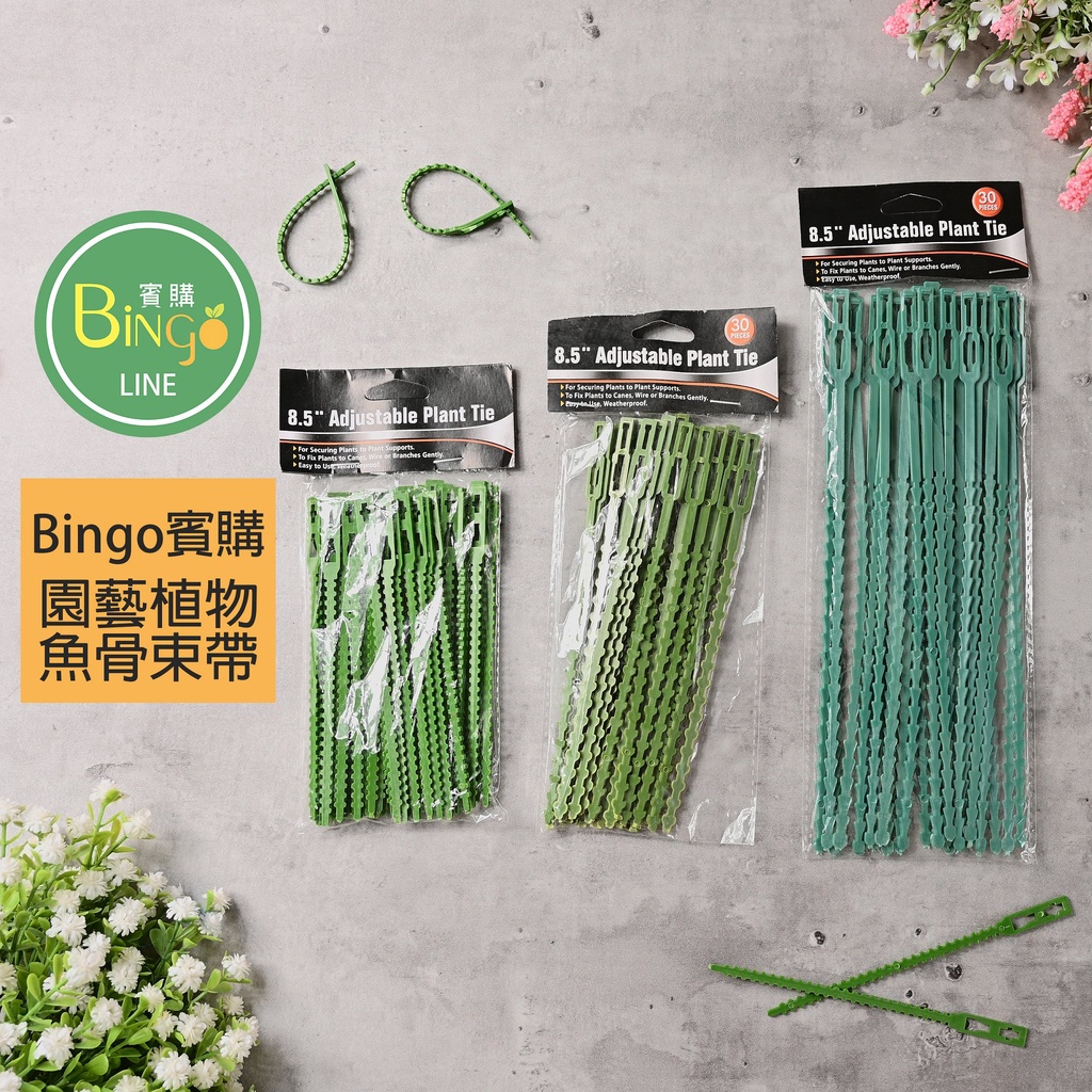 [Bingo-賓購]植物魚骨束帶、植物枝條固定、藤蔓固定帶、園藝束帶、綁藤固定