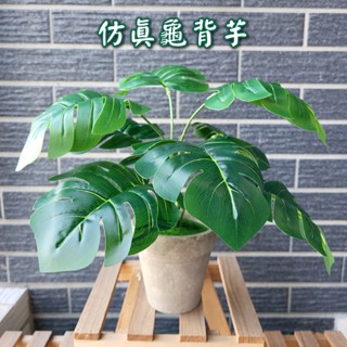 [⭐台灣現貨！平日天天出⭐] 仿真植物 龜背芋 仿真盆栽 室內盆栽 室內植物 假植物 龜背葉 人造植物 仿真花盆栽 中