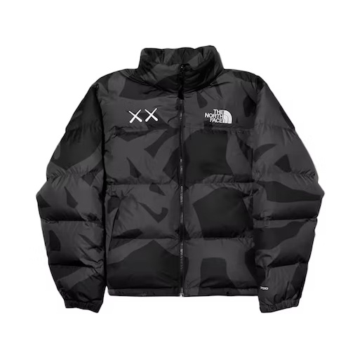 【紐約范特西】 現貨 KAWS x The North Face Retro 1996 Nuptse Jacket 2色