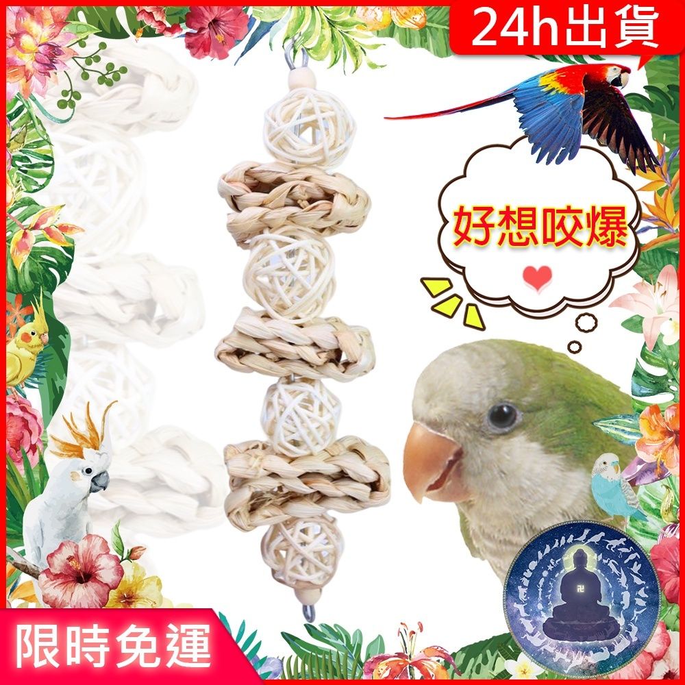 鸚鵡玩具｜優惠推薦- 蝦皮購物- 2026年1月
