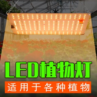 110V植物生長燈LED種植全光譜補光燈3000W智慧調光室內2000W量子板植物燈220V促進多肉生長1500W