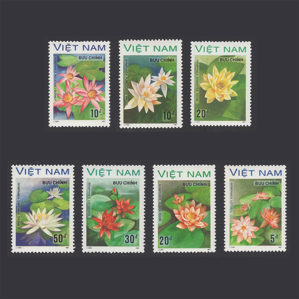 瘋郵票 成套 新票 1988年 越南 荷花 花卉 植物 郵票 郵票收藏 SA_001