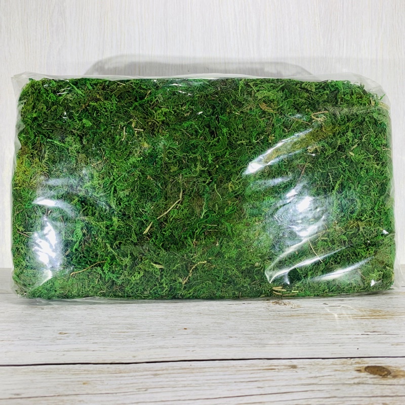 現貨【590超取免運】綠色水苔1公斤(綠水苔、綠水草)裝飾水苔/ 天然觀賞綠水苔