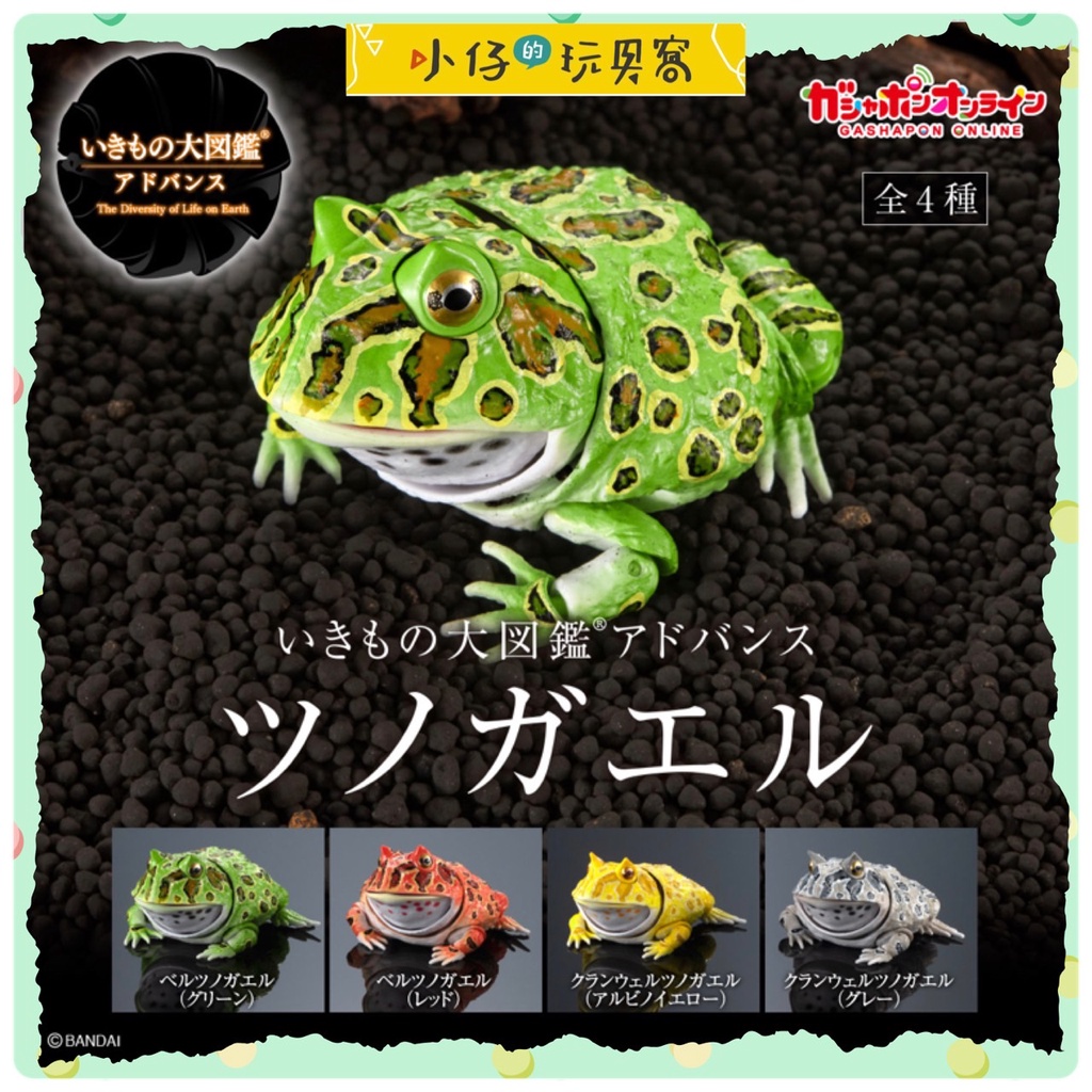 小仔的玩具窩★日版GASHAPON「現貨」 BANDAI 生物大圖鑑 高品質 扭蛋 角蛙 樹蛙 擬態扭蛋 青蛙