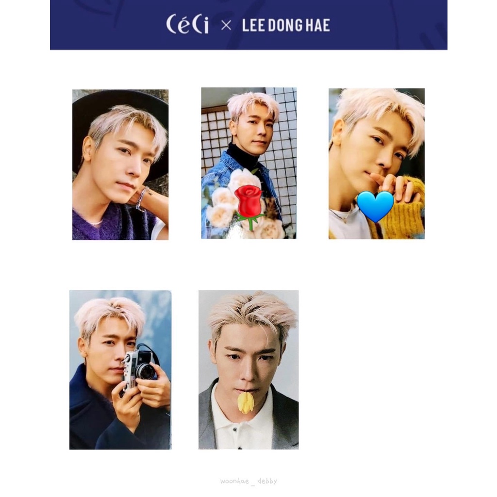 SUPER JUNIOR 東海 CECI 寫真 小卡