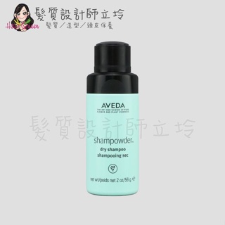 立坽『頭皮調理』肯夢公司貨 AVEDA 純香祛油乾洗髮56g HM02 HS02