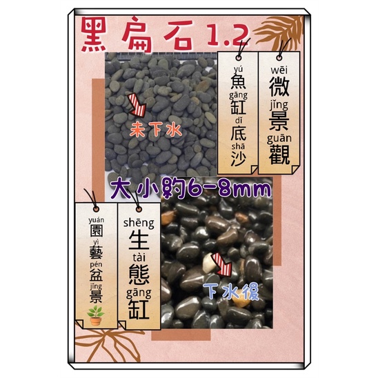 黑扁石 1.2分 黑膽石 底沙 增艷 水族造景 魚缸
