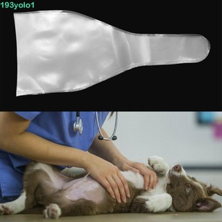 犬科動物 優惠推薦 22年11月 蝦皮購物台灣
