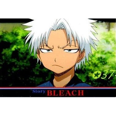 【卡片²】➠多款◇BLEACH死神＞黑崎一護,日番谷冬獅郎×斑目,弓親,更木劍八,八千留,阿散井戀次,志波空鶴,雛森桃