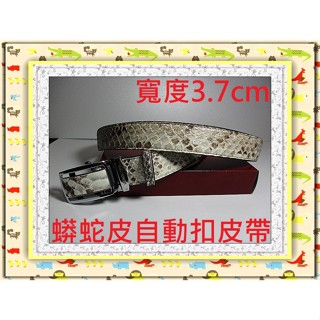**精選泰國珍珠魚 / 鱷魚皮件精品專賣店**男士蟒蛇皮帶(4)(3.7cm寬 / 自動扣)**保証泰國製真品皮件**