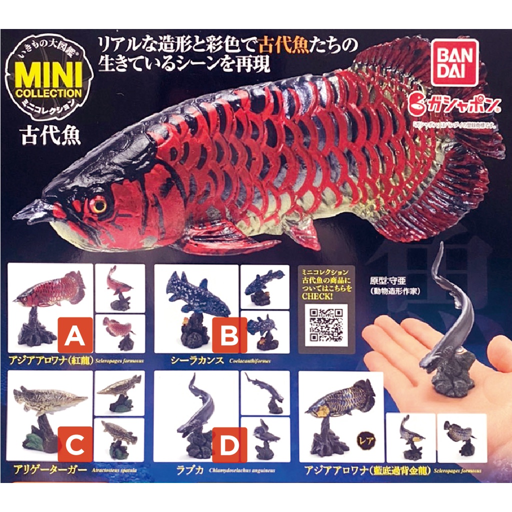 古代魚 優惠推薦 22年12月 蝦皮購物台灣