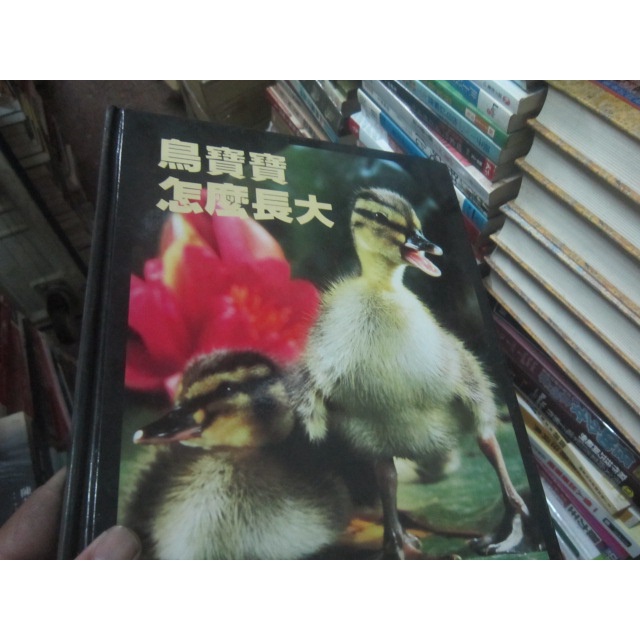 【寶樺田】《鳥寶寶怎麼長大：小小探險家叢書精選 (彩圖注音)》∣圖文出版社(X827)
