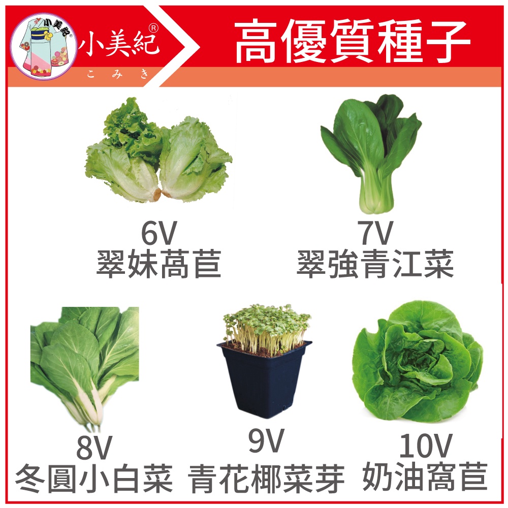 【植物保鑣】生菜種子 萵苣 青江菜 小白菜 奶油窩苣 花苗 土壤種植 蔬菜 盆栽 種子 介質 花卉 植物保標