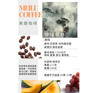 神秘雨林 中焙 咖啡豆 咖啡熟豆 咖啡 單品咖啡 精品咖啡 手沖咖啡 自家烘焙 《美鹿咖啡Meilu Coffee》