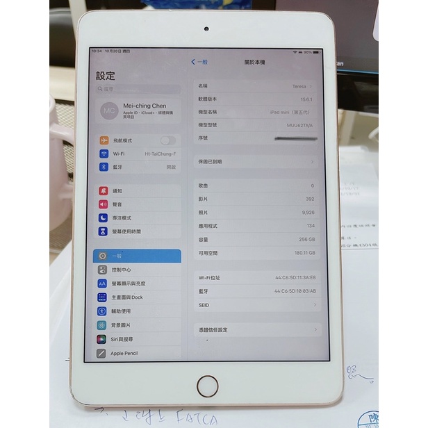 apple iPad mini 256G