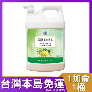 花仙子 茶樹檸檬洗手乳1加侖 無色檸香 茶樹莊園 花仙子 抗菌 茶樹 檸檬 洗手乳 茶樹莊 茶樹洗手乳 花仙子洗手乳