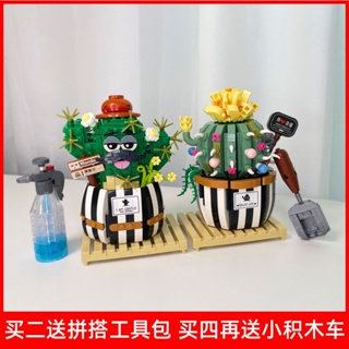 積木花束新品仙人掌小顆粒積木仙人球辦公桌面綠植擺件玩具禮物