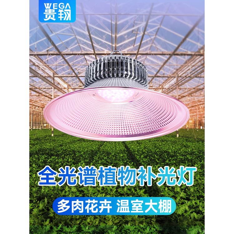 溫室器具- 園藝植作優惠推薦- 居家生活2022年11月 蝦皮購物台灣