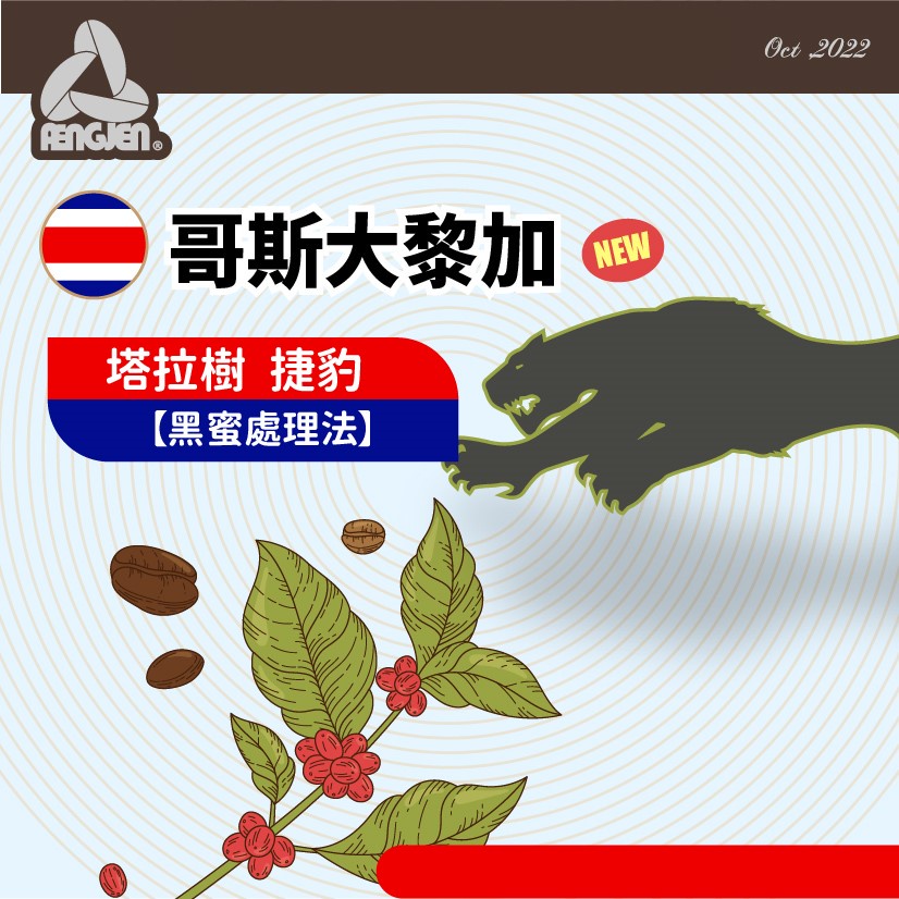 【KJS咖啡生豆】★500g包裝★哥斯大黎加 捷豹莊園 蜜處理 塔拉樹 黑蜜