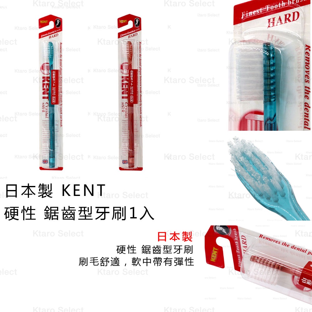 牙刷 日本製【KENT】硬性 鋸齒型牙刷1入 (全新現貨)