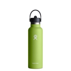 Hydro Flask 21oz標準口吸管真空保溫鋼瓶/ 海草綠 eslite誠品