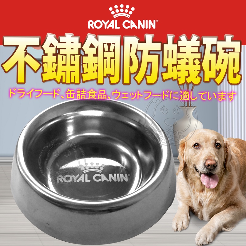 📣48小時工作天內快速出貨🚀Royal Canin 皇家 不鏽鋼防蟻碗 寵物碗 防蟻碗