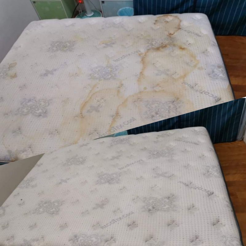 洗皮布沙發 床墊 地毯 清潔 修補 染色