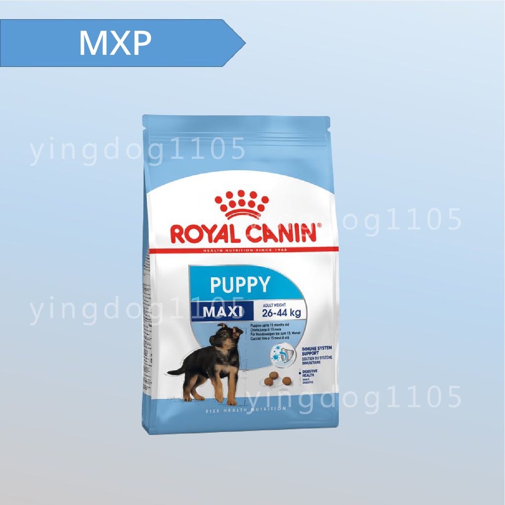 ★旺狗寵物生活館★ 皇家 法國皇家 大型幼犬 MXP 狗飼料 狗乾糧 4kg / 10kg / 15kg