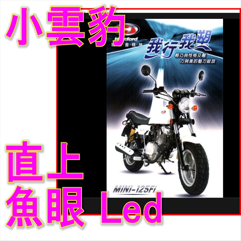 雲豹魚眼H4直上LED 魚眼 LED大燈 KTR 野狼大燈 檔車通用 哈雷 雲豹 msx愛將 MY150 復古 流水方向