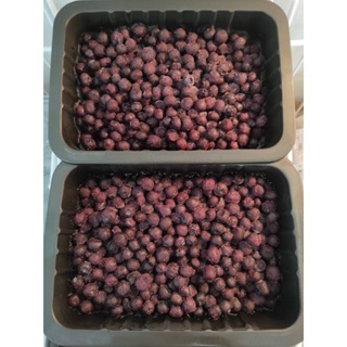 【日盛豐急速冷凍食品】冷凍莓果 小藍莓 350g(1盒)