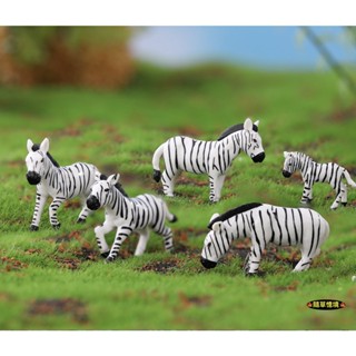 🍁（6款）斑馬 zebra 馬 小馬 動物模型 微景觀 造景 裝飾 塑膠 公仔 模型 擺件 隨草憶境