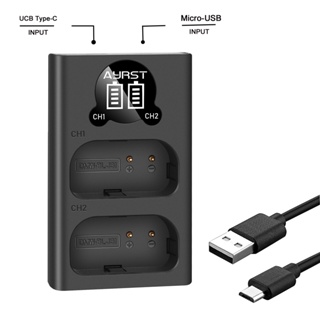 國際牌 Dmw-blj31 BLJ31 電池充電器 LED USB 雙充電器適用於松下 LUMIX S1、S1R、S1H