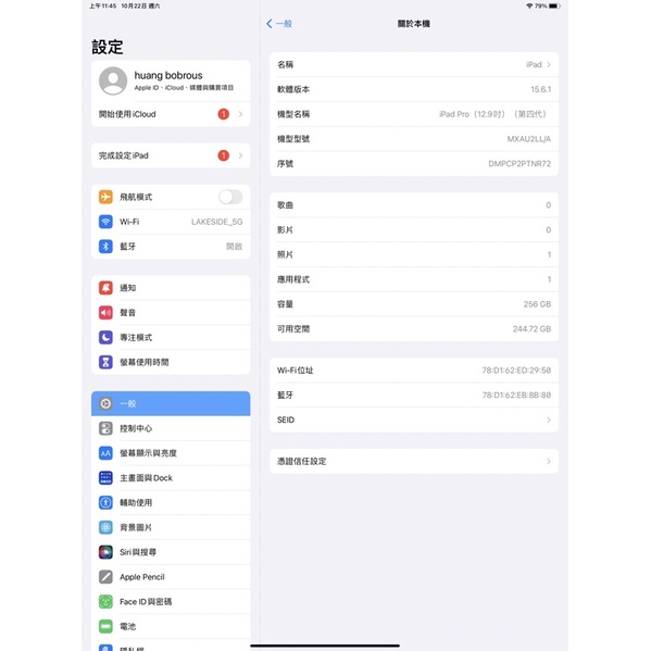 IPad Pro 12.9 第四代 256G