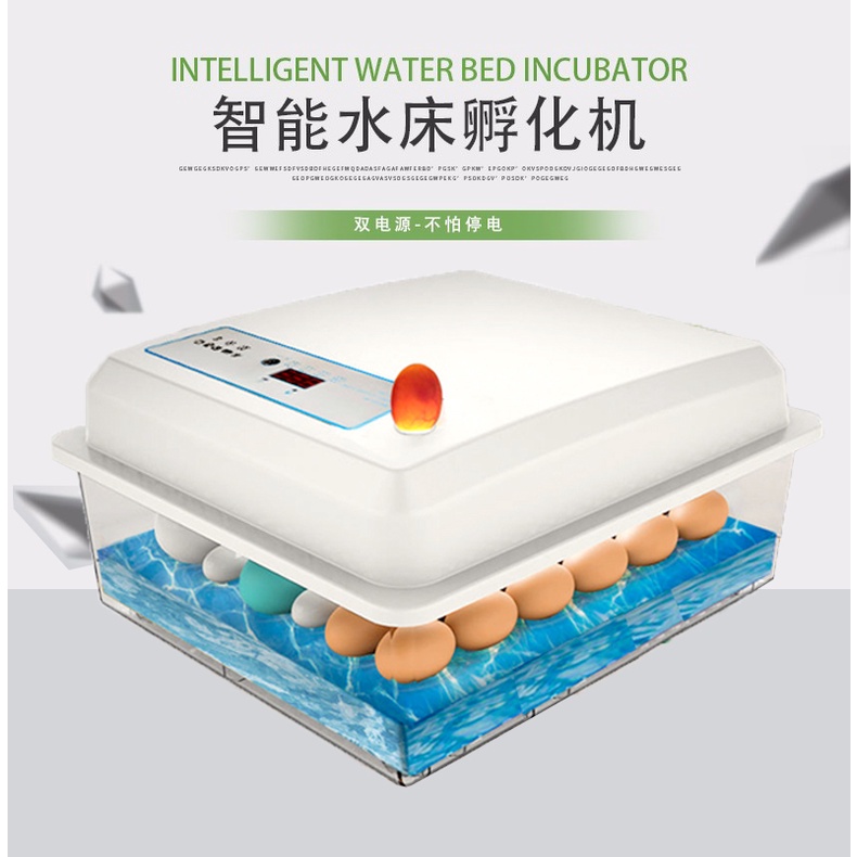 💖台灣公司＋發票💖 小型孵蛋機 特孵化機雞蛋孵化器智慧小型家用型孵蛋器小雞孵化箱