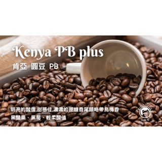 【Gua啡】肯亞 圓豆 PB 水洗 咖啡豆 精品咖啡 手沖咖啡 淺中焙