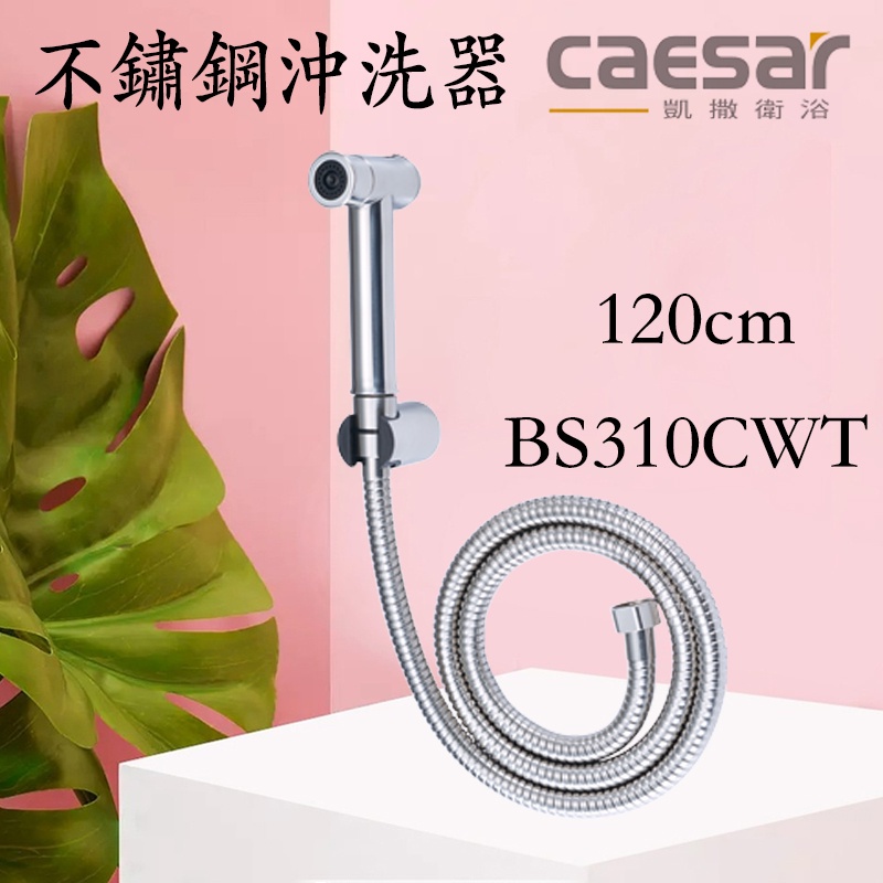 含發票 Caesar 凱撒  不鏽鋼沖洗器 BS310CWT 沖洗器 免治沖洗器 婦洗器 水龍頭噴槍 洗屁屁