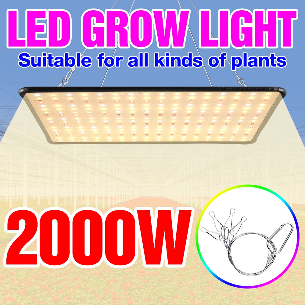 110V全光譜LED植物燈室內1000W生長燈種植量子板園藝照明2000W溫室蔬菜花卉種子培育