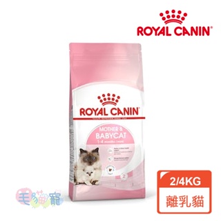 【法國皇家Royal Canin】離乳貓與母貓專用乾糧BC34 2KG/4KG 毛貓寵