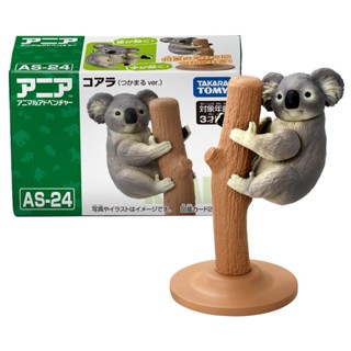 TOMY 多美動物園 ANIA 探索動物系列 AS-24 無尾熊 動物模型 AN22548