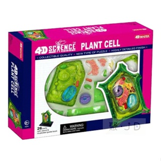 玩得購【4D Master】26701 立體拼組模型 植物解剖教 學模型系列 - 植物細胞