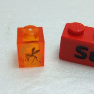 【積木2010】樂高 LEGO 琥珀化石 蚊子化石 侏儸紀公園  1X1 道具 印刷 積木 75939 (U-15)