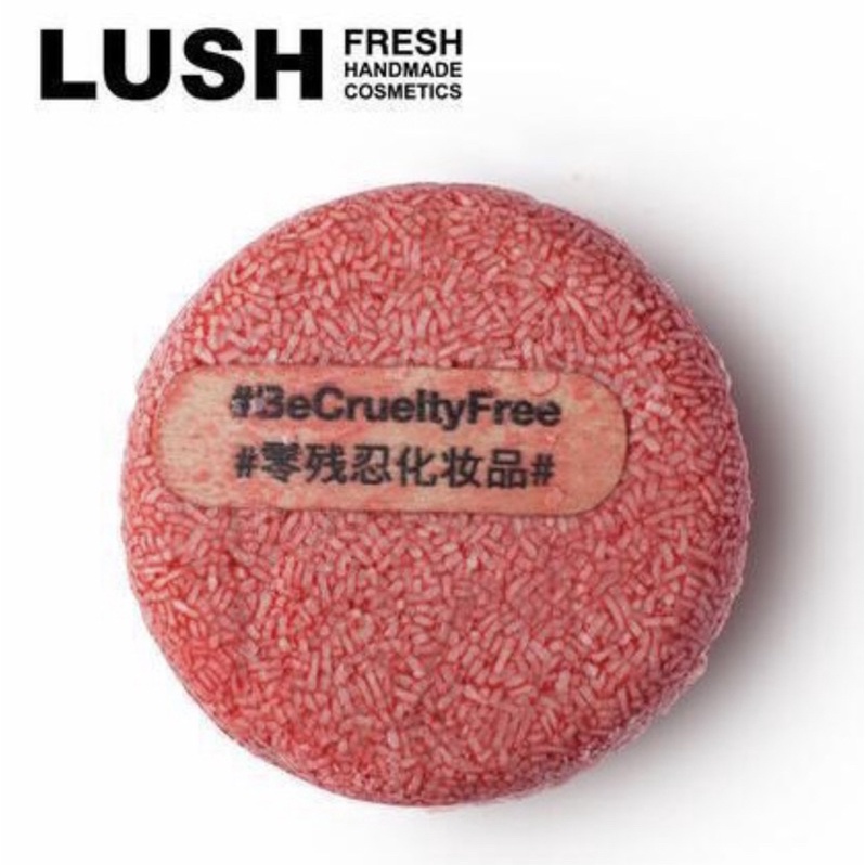 lush 小紅帽洗髮餅 肉桂 日本購入