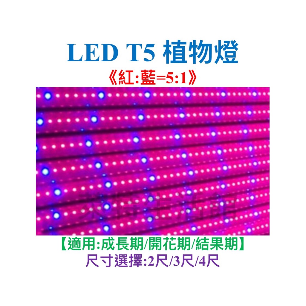 《萊特生活館》LED T5 植物生長燈 【2尺/3尺/4尺】 【紅(660nm):藍(450)=5:1】上色 增艷
