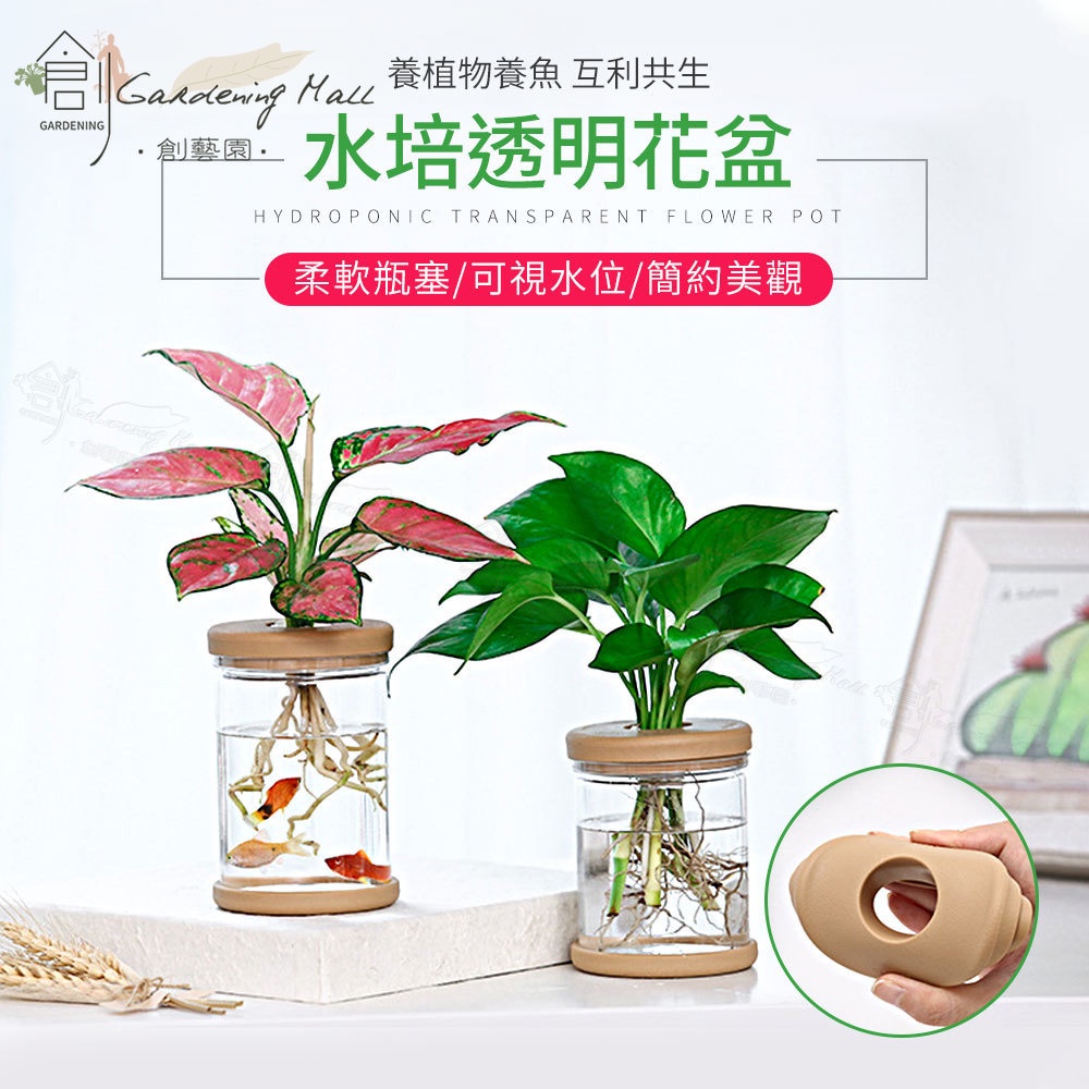 水耕盒優惠推薦 23年1月 蝦皮購物台灣