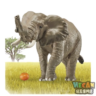 多美動物園 AS-02 非洲象 (附橘子) African Elephant 16056