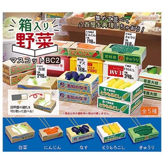 【LUNI 玩具雜貨】J.DREAM 箱裝蔬菜模型吊飾P2 水果批發 扭蛋 轉蛋 整套5款