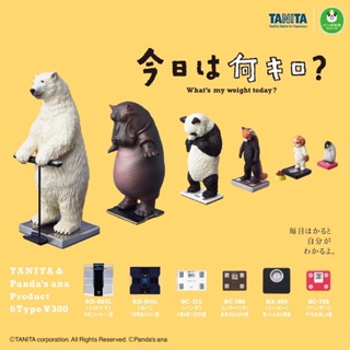 日空版扭蛋 站上TANITA體重計的動物們 熊貓之穴 全6款 4904790889080