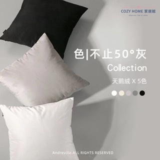 COZY HOME 抱枕 抱枕套 灰色系 天鵝絨抱枕 簡約風靠墊套 沙發靠墊 家用床上絨布靠枕 素色抱枕