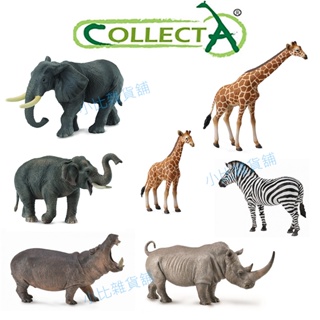 CollectA英國高擬真動物模型 非洲公象 亞洲象 長頸鹿 平原斑馬 犀牛 河馬