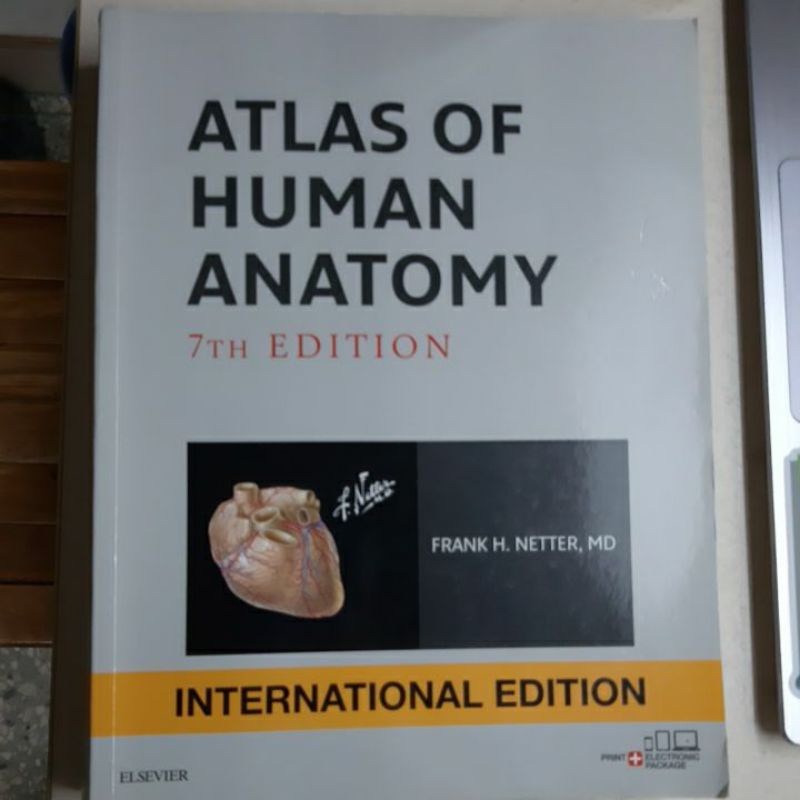 Atlas of human anatomy （Netter解剖圖譜）